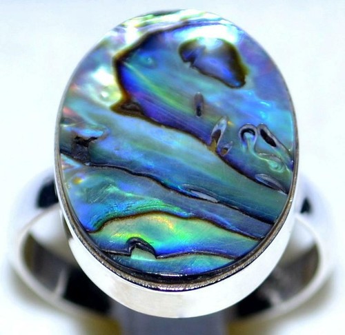 Rainbow fire abalone shell - fire,