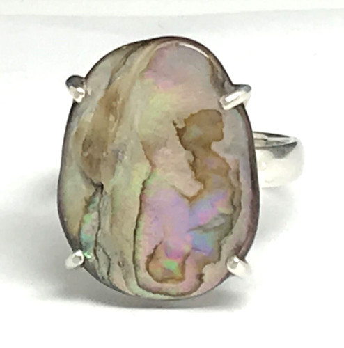 Abalone ring solid - abalone,