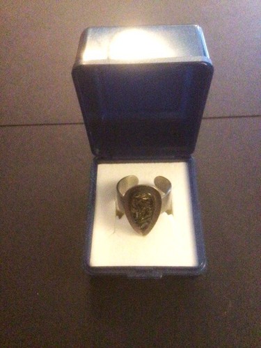 1960 paua shell teardrop - paua,