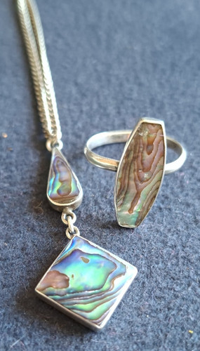 Abalone shell - shell, shell)