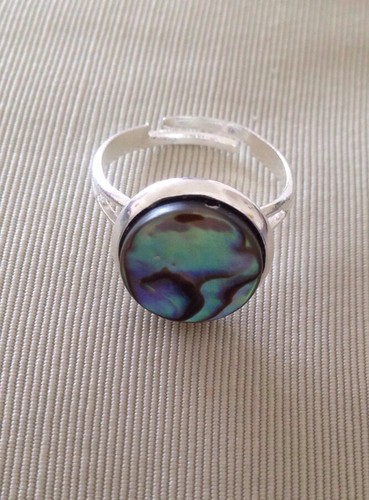 Abalone shell multi coloured - abalone,