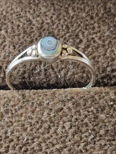 Silver abalone shell - silver,