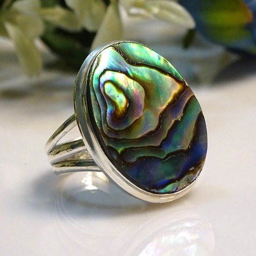 Natural abalone shell - shell, oval