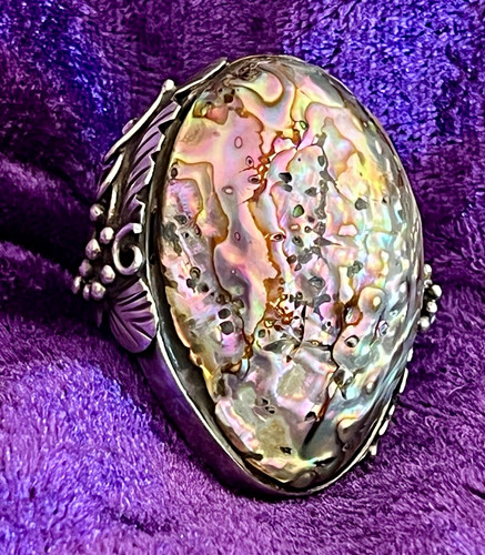 Huge unusual abalone - huge!,