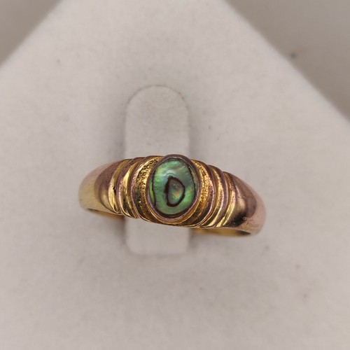 Antique abalone shell - antique,